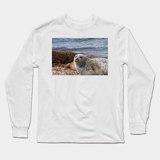 A common seal at Portgordon Scotland - 3 Long Sleeve T-Shirt by dianecmcac